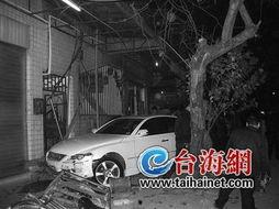 车撞猫视频,路人紧急施救