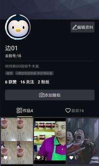 A小视频,揭秘生活趣味瞬间