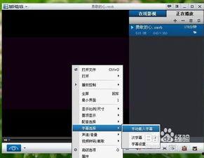 怎么在视频里加字,视频字幕添加技巧解析