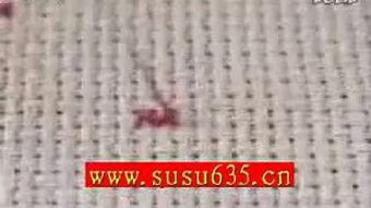十字绣针法教程视频,十字绣针法教程视频精华概述