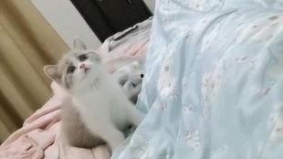 很色床上小视频,揭秘网络床上小视频的隐秘世界